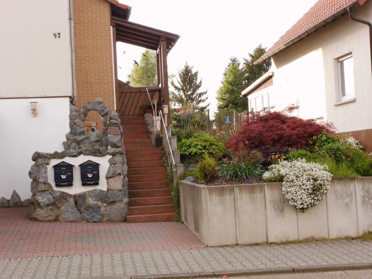 Ferienwohnung Schanbacher Oberzent Dış mekan fotoğraf