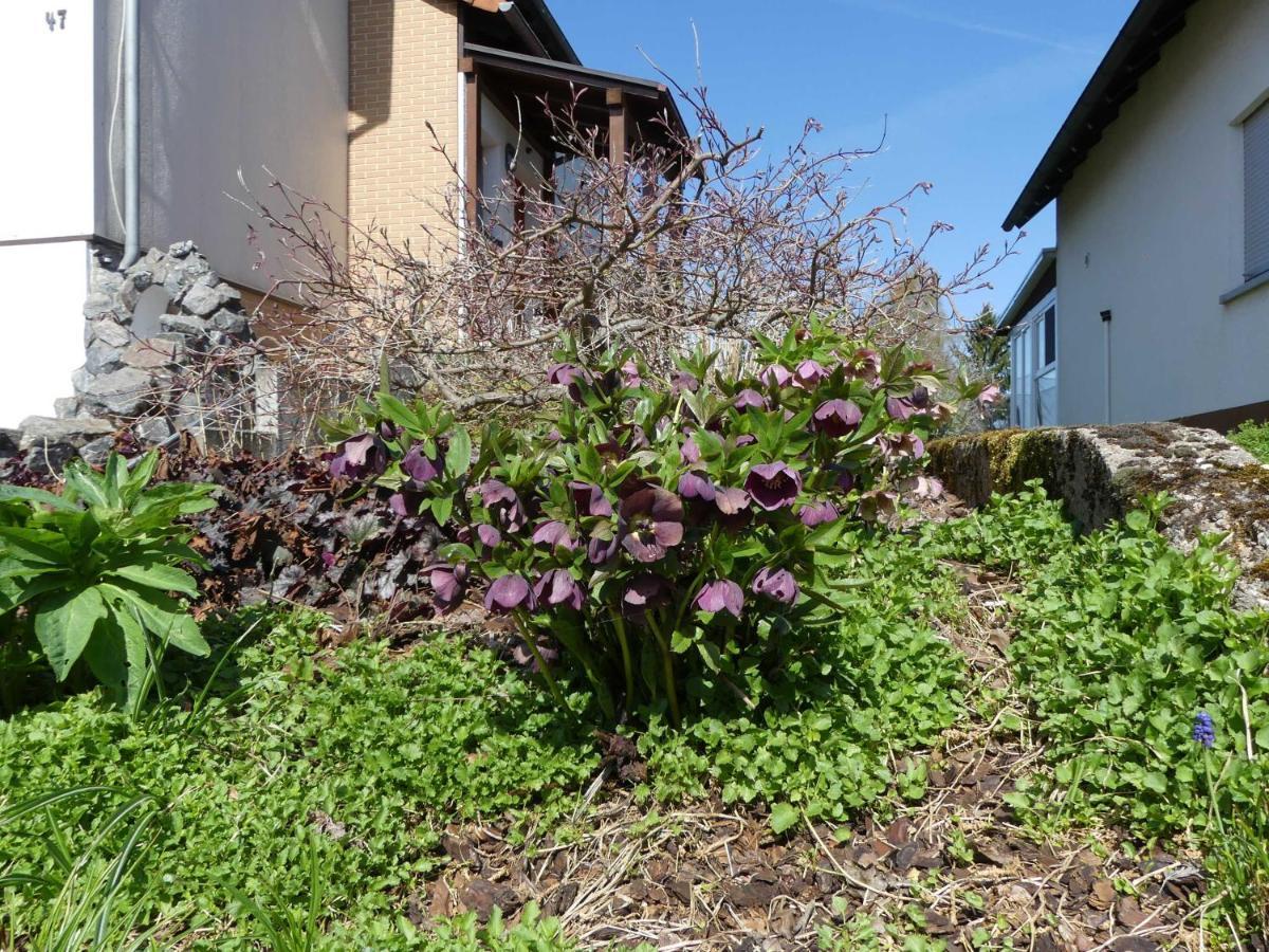 Ferienwohnung Schanbacher Oberzent Dış mekan fotoğraf